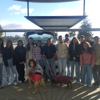 Campanha de Angariação de Alimentos para Animais